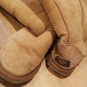 UGG Chestnut Suede Footwear